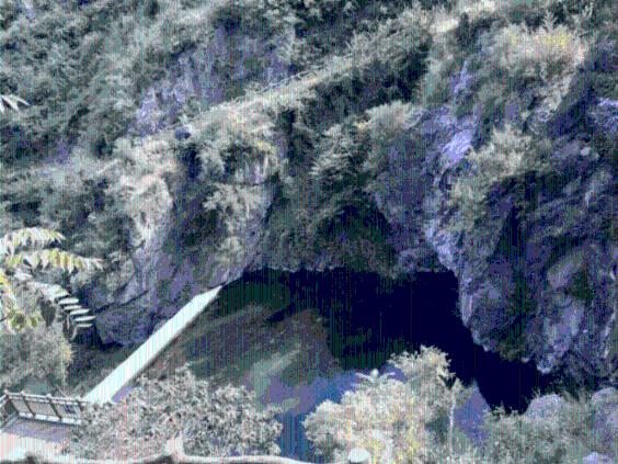 牛油果面包
